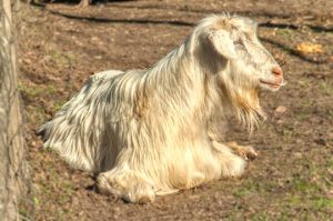 Read more about the article Photo of the Week: Basking