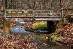 Read more about the article Photo of the Week: Country Crossing