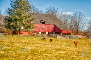 Read more about the article Photo of the Week: Home on The Range
