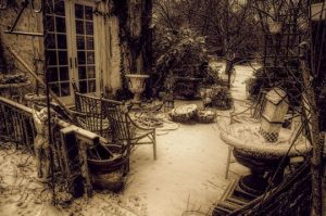 Read more about the article Photo of the Week: Addams Garden Party