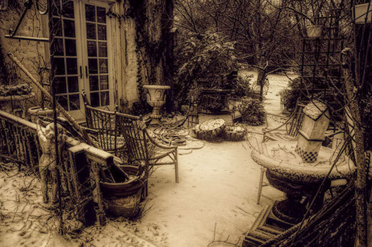 You are currently viewing Photo of the Week: Addams Garden Party
