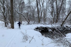 Read more about the article Photo of the Week: Fresh Tracks