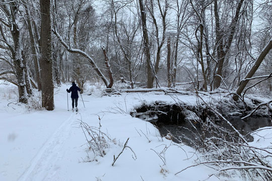 You are currently viewing Photo of the Week: Fresh Tracks