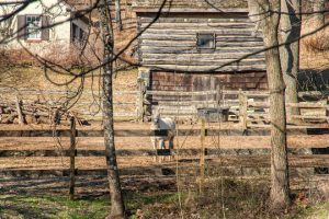 Read more about the article Photo of the Week: Who’s there?