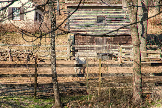 You are currently viewing Photo of the Week: Who’s there?