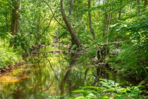 Read more about the article Photo of the Week: Inner Passage