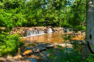 Read more about the article Photo of the Week: Pausing by The Falls