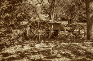 Read more about the article Photo of the Week: Transport 