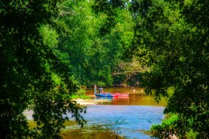 Read more about the article Photo of the Week: Summer Along the Brandywine