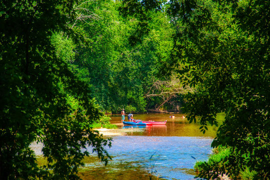 You are currently viewing Photo of the Week: Summer Along the Brandywine