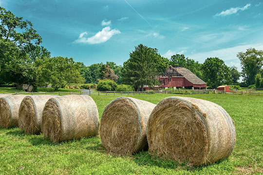 You are currently viewing Photo of the Week: Bales and Barn