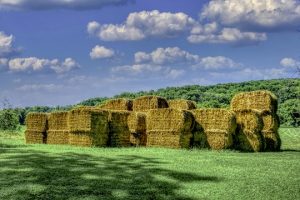 Read more about the article Photo of the Week: Hayhenge
