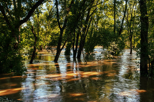 You are currently viewing Photo of the Week: Brandywine Bayou