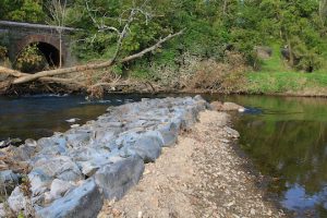 Read more about the article Conservancy gets $400K grant
