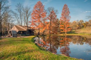 Read more about the article Photo of the Week: An Autumn Sunday