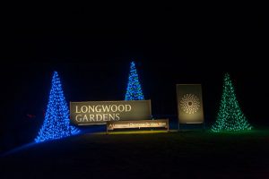 Read more about the article Around Town Nov. 4