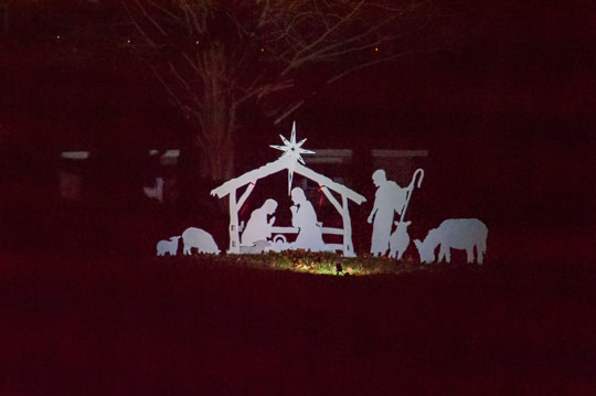 You are currently viewing Photo of the Week: Merry Christmas