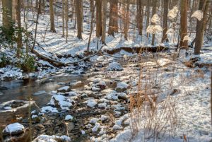 Read more about the article Photo of the Week: A Winter Scene