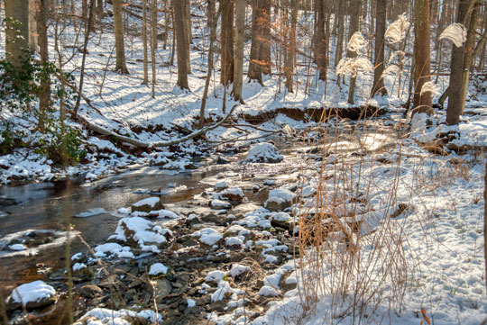 You are currently viewing Photo of the Week: A Winter Scene