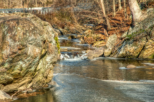 You are currently viewing Photo of the Week: Bright Day
