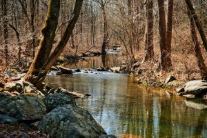 Read more about the article Photo of the Week: Late Winter