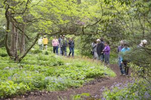 Read more about the article Around Town April 21