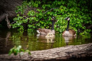 Read more about the article Photo of the Week: Family Portrait