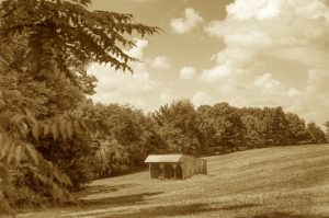 Read more about the article Photo of the Week: Pole Barn