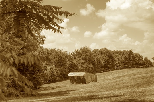 You are currently viewing Photo of the Week: Pole Barn