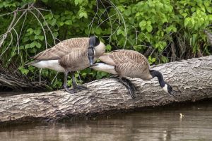 Read more about the article Photo of the Week: Are You Sure…?
