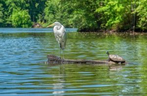 Read more about the article Photo of the Week: The Quarrel
