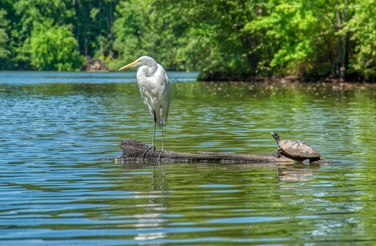 You are currently viewing Photo of the Week: The Quarrel