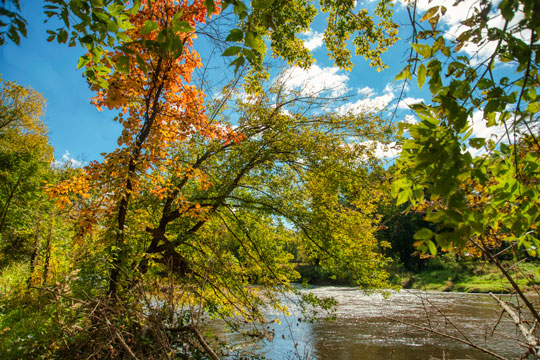 You are currently viewing Photo of the Week: Autumn on the Brandywine