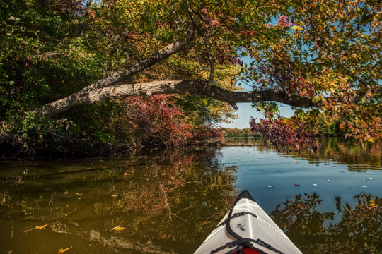 You are currently viewing Photo of the Week: End of Season