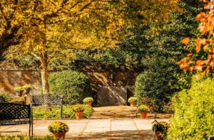 Read more about the article Around Town Oct. 6
