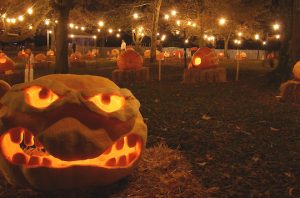 Read more about the article Pumpkins and sand at CFHS