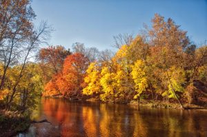 Read more about the article Photo if the Week: Autumn Fire