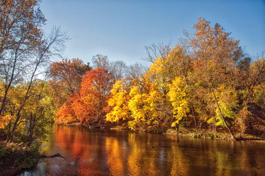 You are currently viewing Photo if the Week: Autumn Fire