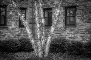 Read more about the article Photo of the Week: Textures in Gray
