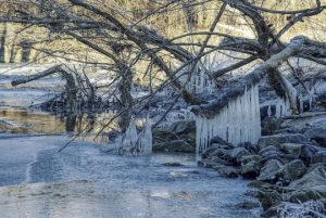 Read more about the article Photo of the Week: Winter Arrives