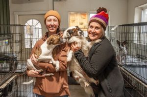 Read more about the article Rescue looking for volunteers