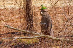 Read more about the article Photo of the Week: Mystery Solved
