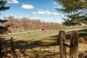 Read more about the article Photo of the Week: Springtime Lunch