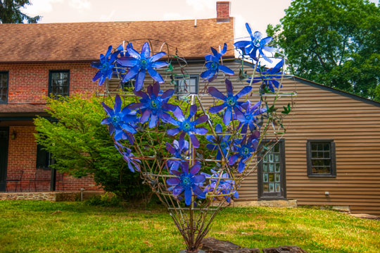 You are currently viewing Photo of the Week: Passion Heart