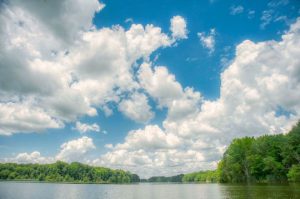 Read more about the article Photo of the Week: Sunny Interlude