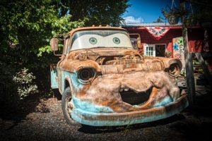 Read more about the article Photo of the Week: Bug-eyed and Smiley
