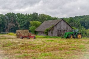 Read more about the article Photo of the Week: Gray Morning
