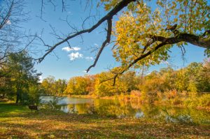 Read more about the article Photo of the Week: Autumn Morn