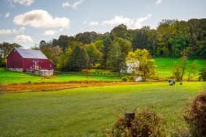 Read more about the article Photo of the Week: In Plein Air