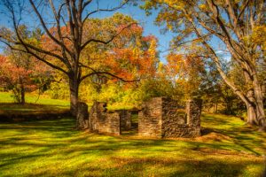 Read more about the article Photo of the Week: Archie’s Corner